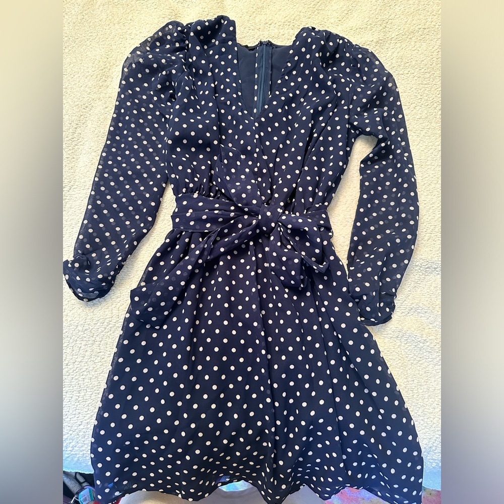 Walter Baker size 0 Navy polka dot dress